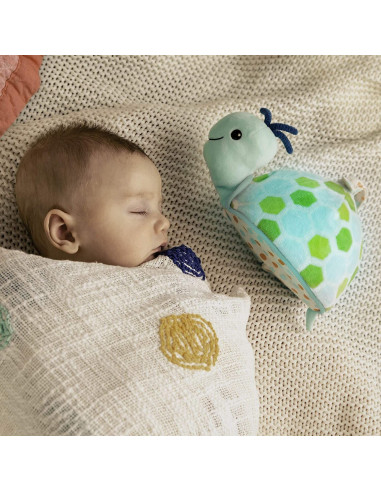 BYOU - TORTUGA LUMINOSA