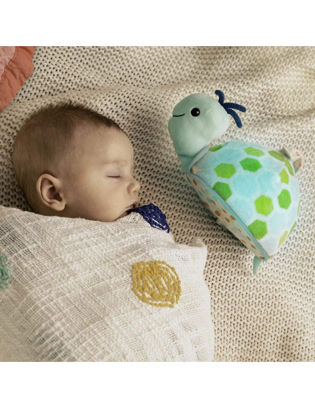 BYOU - TORTUGA LUMINOSA