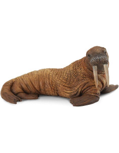 COLLECTA - FIGURA DE MORSA