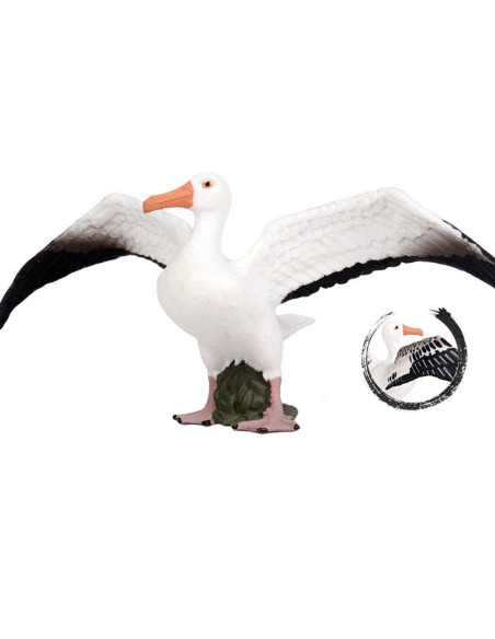 COLLECTA - FIGURA ALBATROS ERRANTE