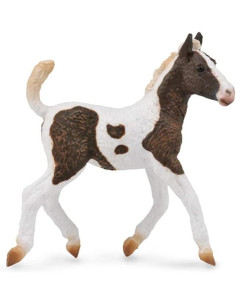 COLLECTA - POTRO PELO RIZADO