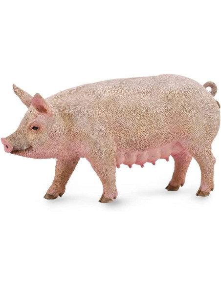 COLLECTA - FIGURA CERDA HEMBRA