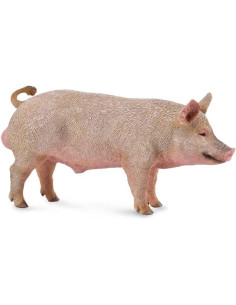 COLLECTA - CERDO MACHO