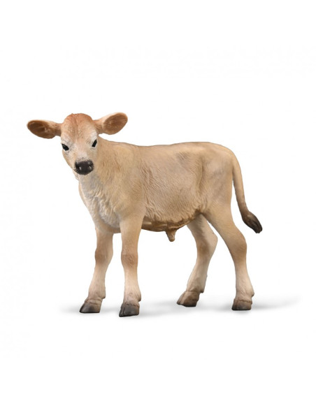 DEQUBE - BECERRO JERSEY