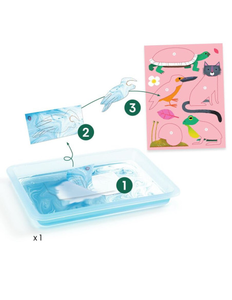 DJECO - TALLER COLOREADO