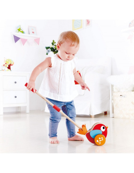 Pajarito Likly de Arrastre