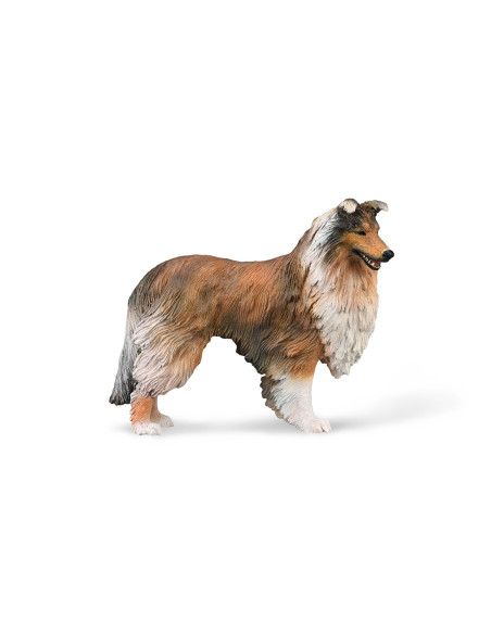 COLLECTA - FIGURA DE COLLIE