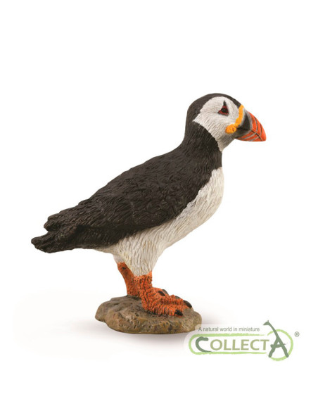 COLLECTA - PINGÜINO FRAILECILLO