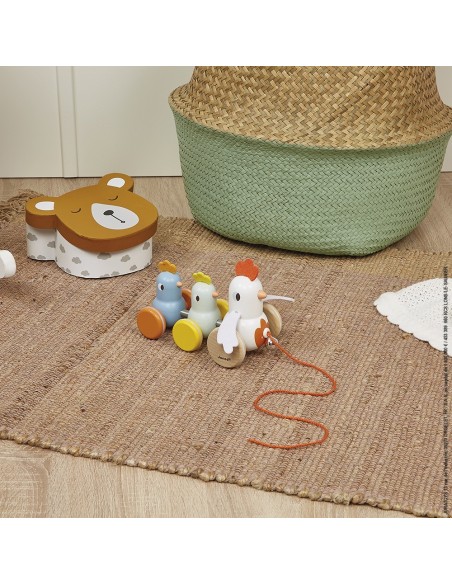 JANOD - ARRASTRE GALLINA Y SUS POLLITOS