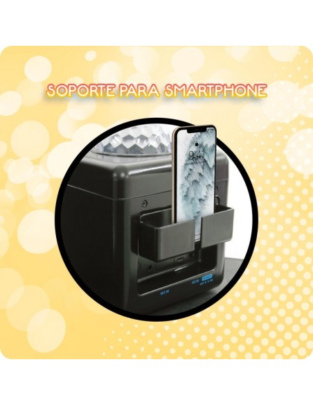 SISTEMA INALÁMBRICO DE KARAOKE DISCO