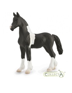 COLLECTA - POTRO BAROCK PINTO
