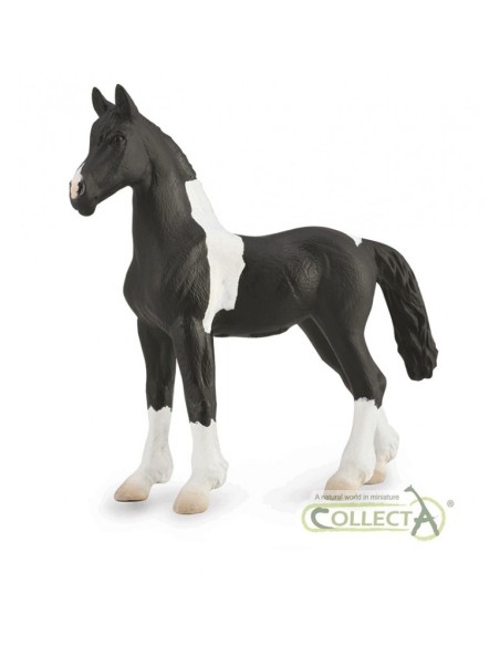 COLLECTA - POTRO BAROCK PINTO