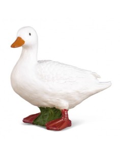 COLLECTA - PATO BLANCO