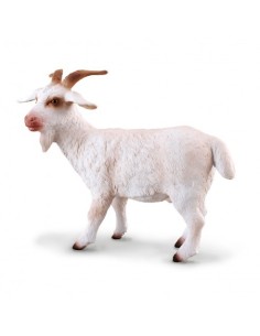 COLLECTA - CABRA BILLY