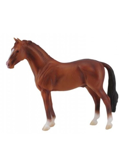 COLLECTA - SEMENTAL HANNOVERIANO CASTAÑO