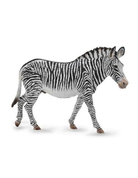 COLLECTA - CEBRA DE GREVY