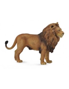 COLLECTA - LEON AFRICANO