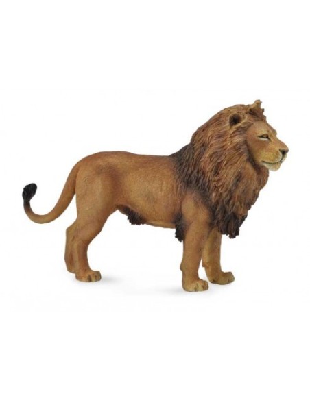 COLLECTA - LEON AFRICANO