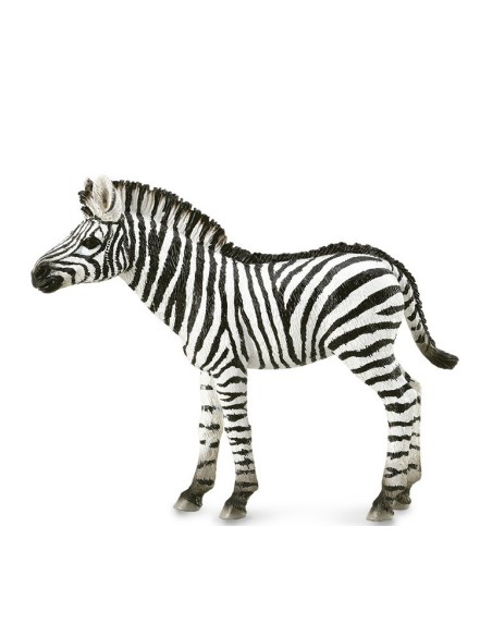 COLLECTA - POTRO CEBRA