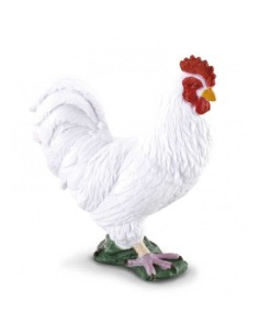 COLLECTA - GALLINA BLANCA