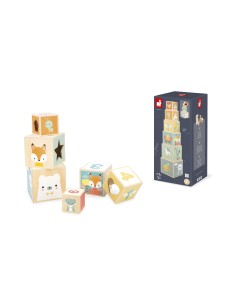 JANOD - PIRAMIDE DE 6 CUBOS