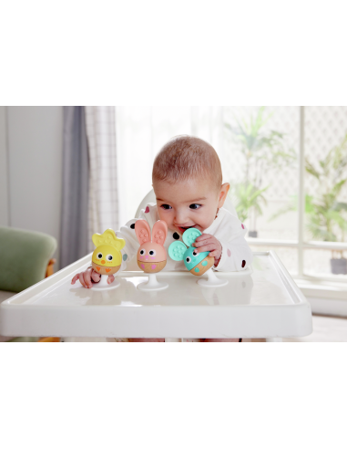 SET DE SONAJERO Y MORDEDOR