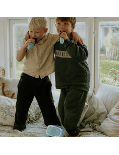 KARAOKE CON LUZ Y DOS MICROFONOS 2