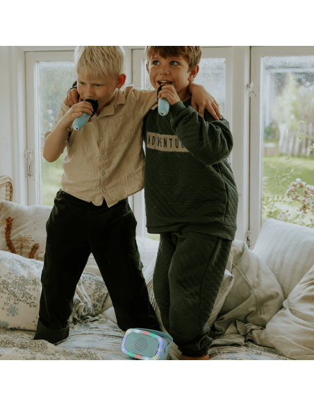 KARAOKE CON LUZ Y DOS MICROFONOS