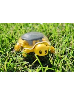 TORTUGA SOLAR 2