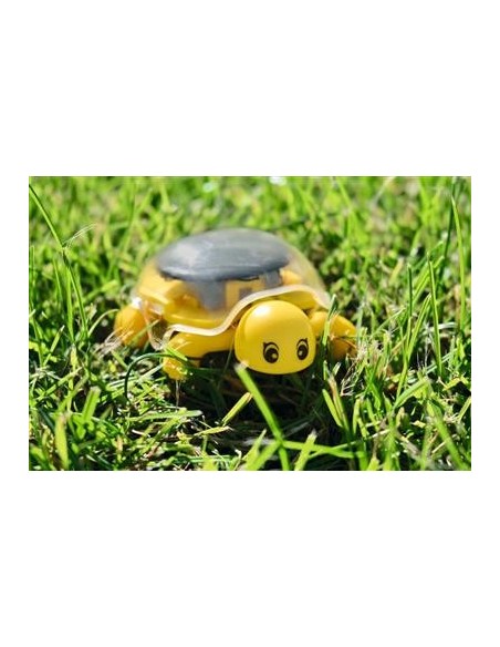 TORTUGA SOLAR