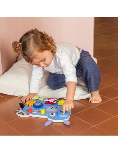 GOULA- DONKEY ACTIVITIES