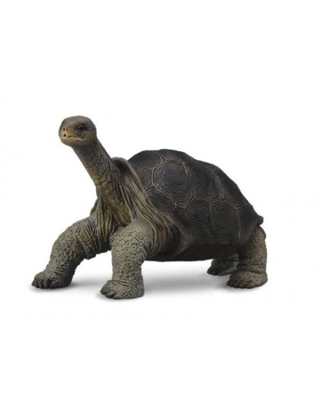 COLLECTA - FIGURA TORTUGA GIGANTE DE PINTA