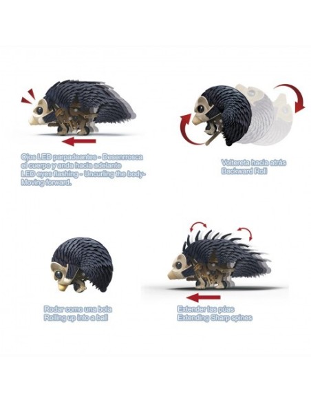 DEQUBE - ROBO-ERIZO INTERACTIVO