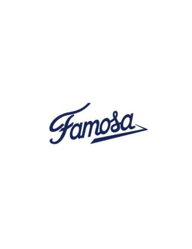 FAMOSA